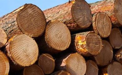美国木材价格飙升 原因、影响与未来展望