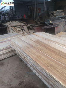 鲁鑫木业加工厂 木材产品价格与厂家信息全解析